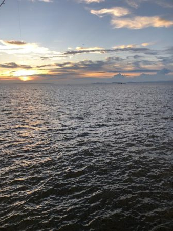 ツバスしかおらん