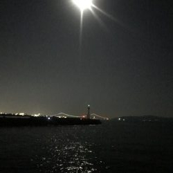 久々ホームのエギング