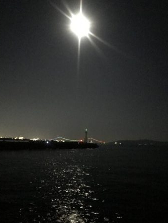 久々ホームのエギング