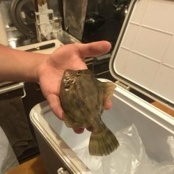 風強し、海はパラダイス