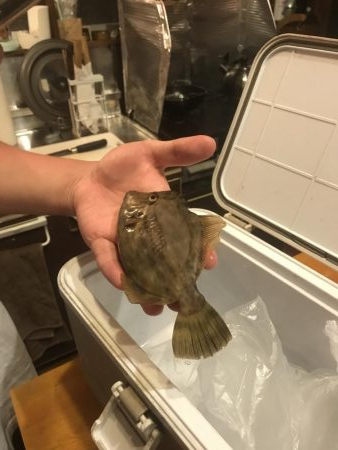 風強し、海はパラダイス