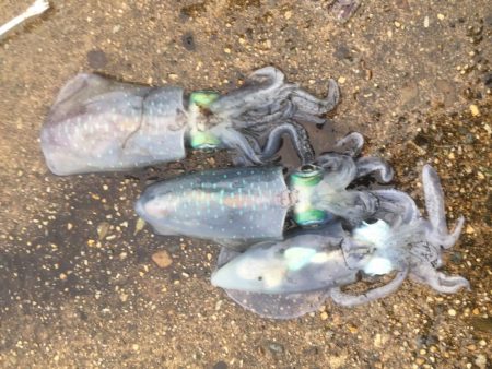 秋の醍醐味。〜醍醐味of the 秋〜