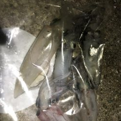 剣先なんとかツ抜け