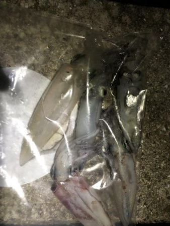 剣先なんとかツ抜け