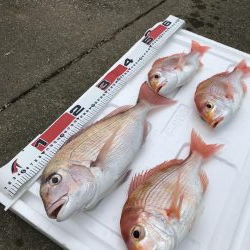 リアルベイトジグ