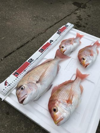 リアルベイトジグ