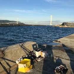 夜釣りの五目釣り