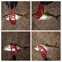 アジンガー1808〜1859