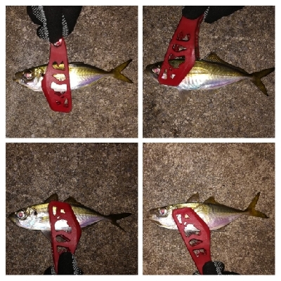 アジンガー1808〜1859