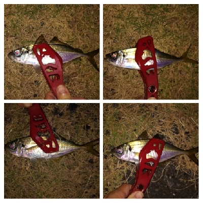 アジンガー1759〜1921