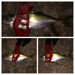 アジンガー1805〜1859