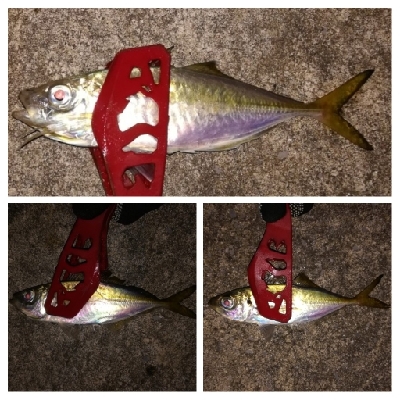 アジンガー1810〜1852