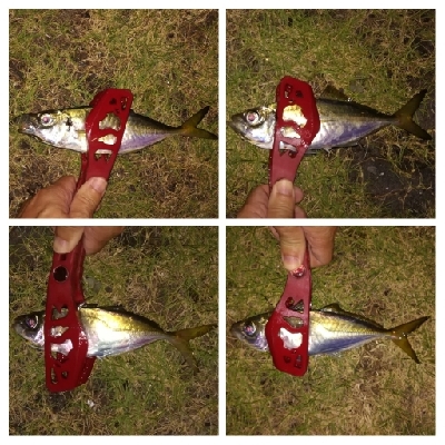 アジンガー1810〜1857 1955〜2022