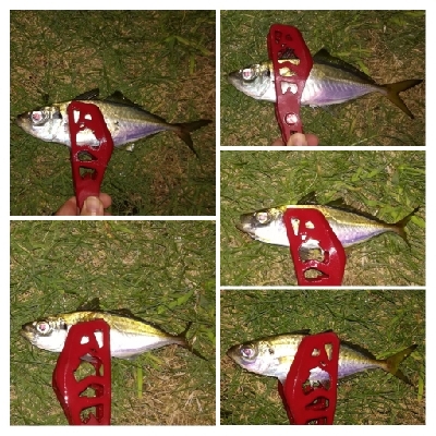 アジンガー1905〜2035