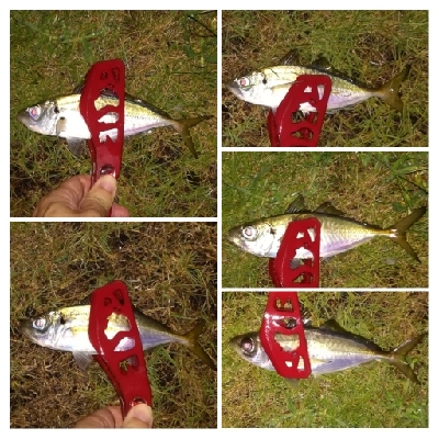 アジンガー1835〜2015