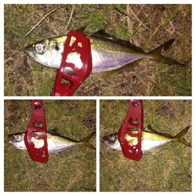 LSJigginger 0510〜0555 アジンガー1845〜1935