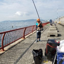 いろんな魚が釣れました❗