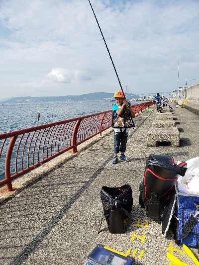いろんな魚が釣れました❗