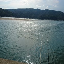 チョイ投げチヌ釣り