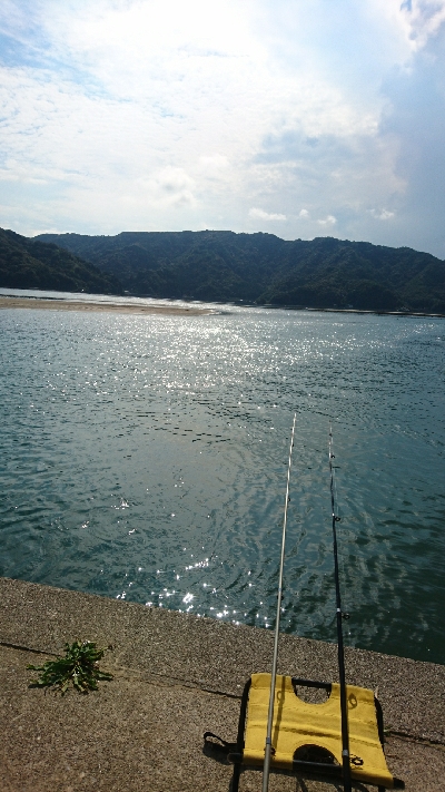 チョイ投げチヌ釣り