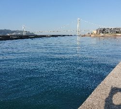 連続6回コフダイ不釣