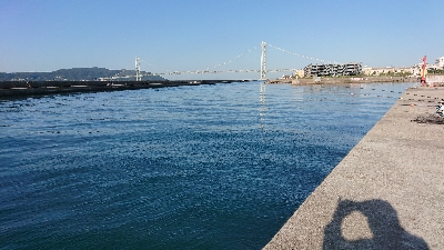 連続6回コフダイ不釣