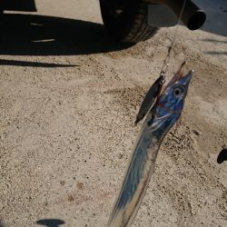 ランガン五目釣