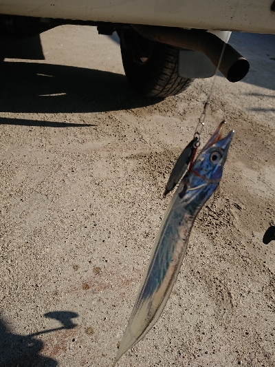 ランガン五目釣