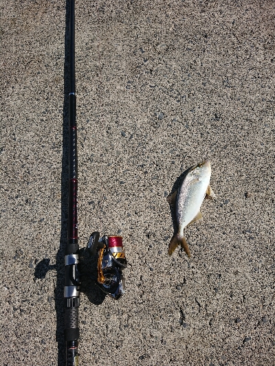 釣りも暑さも厳しい