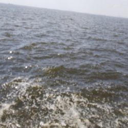 久しぶりによく釣れた気がした！