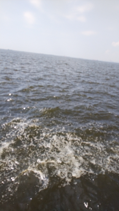 久しぶりによく釣れた気がした！