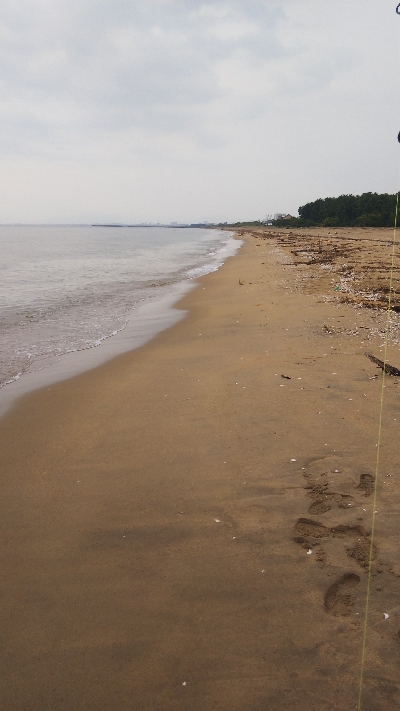 令和の初マゴチ