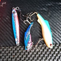 シーバス釣れないから