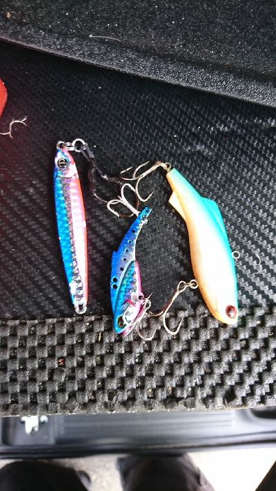 シーバス釣れないから