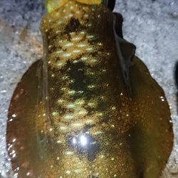 天気が荒れる前に