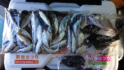 キス釣り、五目釣り