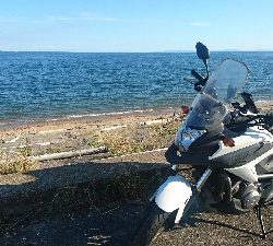 マゴチ60㎝アップ!四日市サーフ