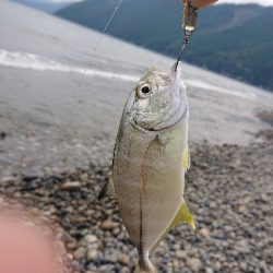 メッキ好調です！