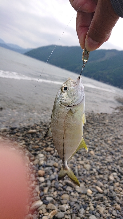 メッキ好調です！