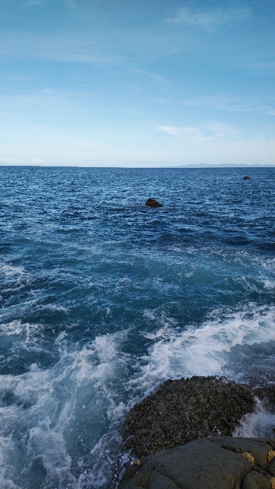 シオもメッキも好調？？？