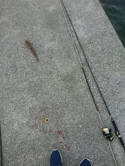 仕事帰りの夕マズメルアーフィッシング