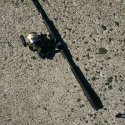 フラット狙いで、有明ターポンとエソ釣果