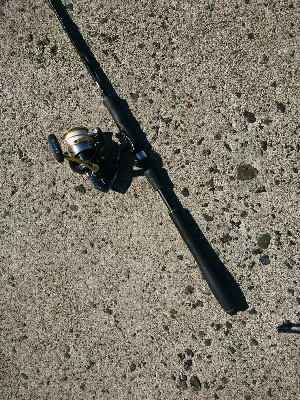 フラット狙いで、有明ターポンとエソ釣果