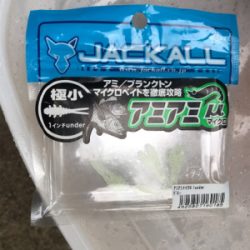 ボラしかいないと思ったけど……