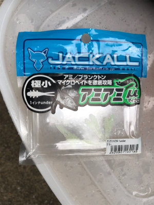 ボラしかいないと思ったけど……