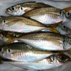 アジンガー1840〜1923