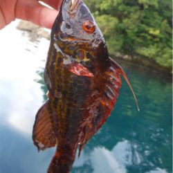 奥能登カヤックパート2