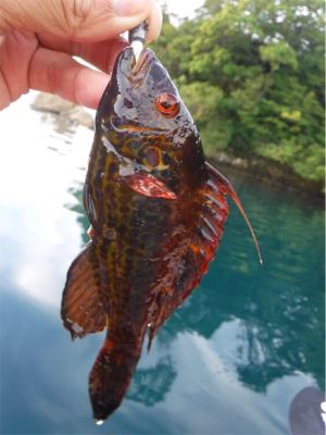 奥能登カヤックパート2