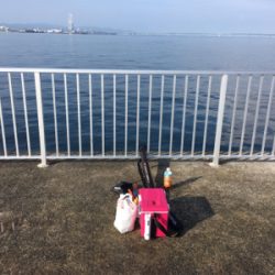 貝塚人工島でタチウオ