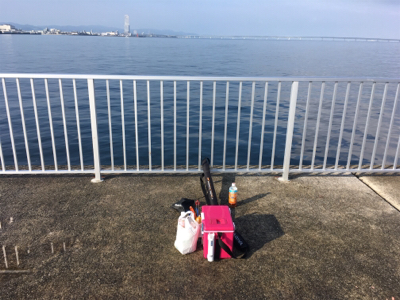 貝塚人工島でタチウオ